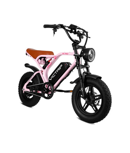 VICTRIP   ®R6