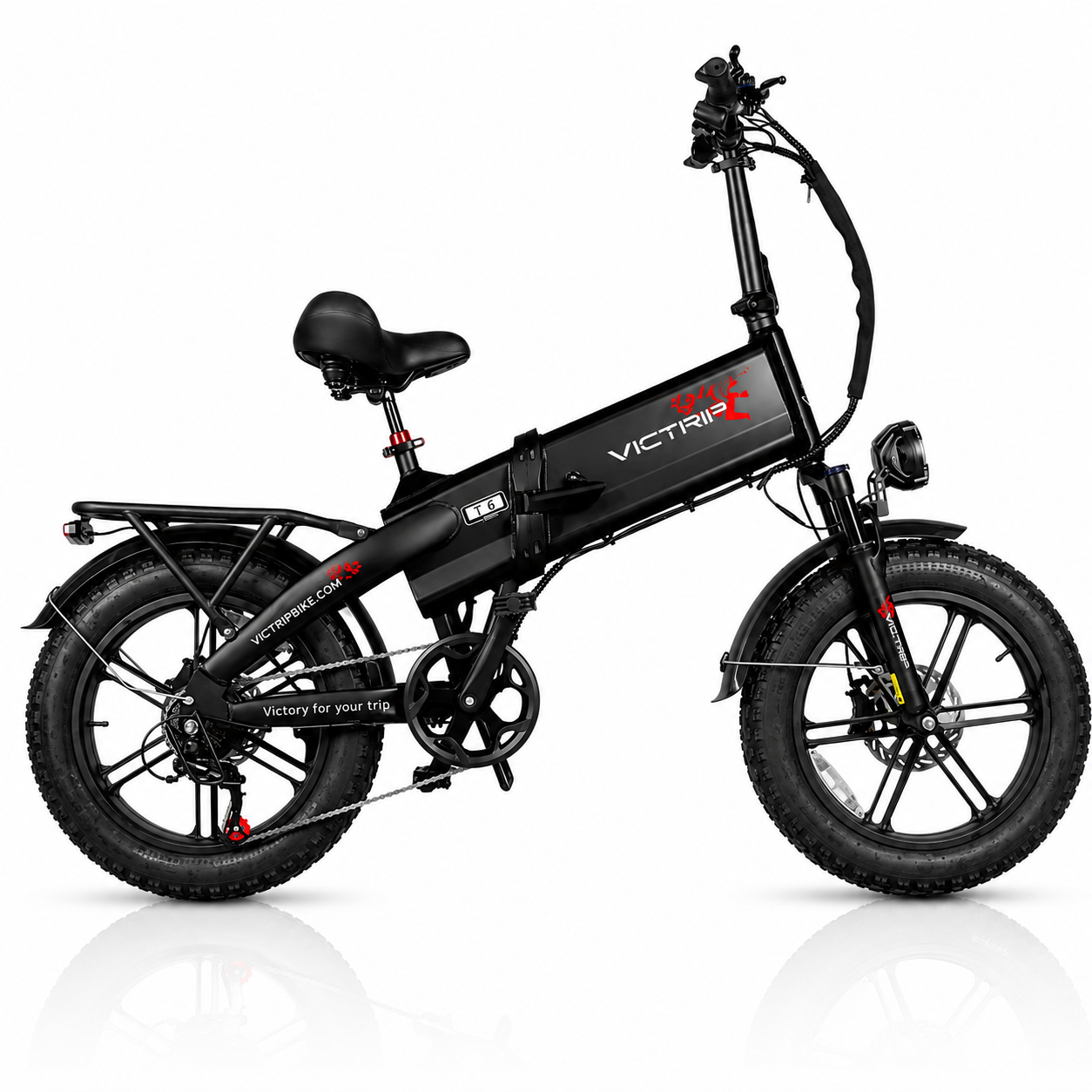 VICTRIP®  T6