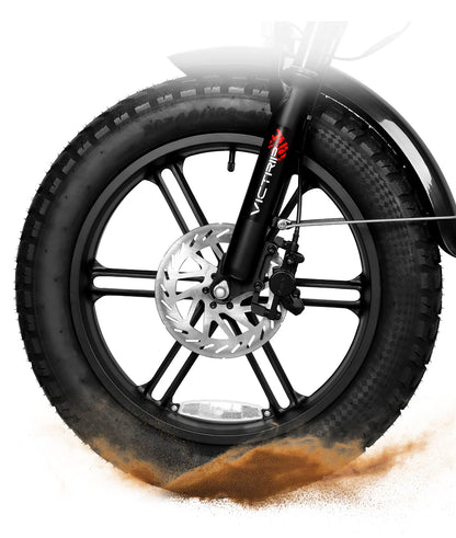 VICTRIP®  T6